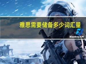 雅思需要储备多少词汇量