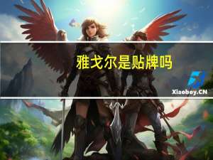 雅戈尔是贴牌吗