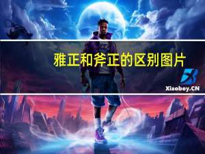 雅正和斧正的区别图片（雅正和斧正的区别）