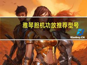雅琴胆机功放推荐型号（雅琴胆机功放推荐）