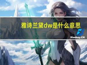 雅诗兰黛dw是什么意思