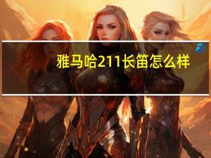 雅马哈211长笛怎么样