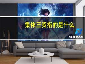 集体三资指的是什么