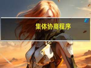 集体协商程序