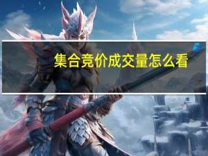 集合竞价成交量怎么看