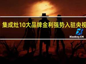 集成灶10大品牌金利强势入驻央视广告，彰显品牌实力
