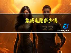 集成电路多少钱