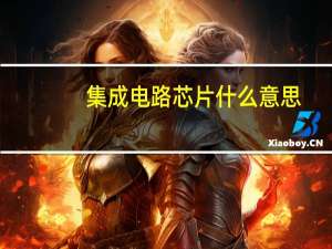 集成电路芯片什么意思