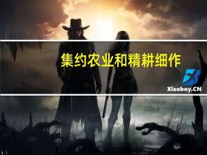 集约农业和精耕细作（集约农业）