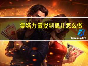 集结力量找到孤儿怎么做（集结力量）