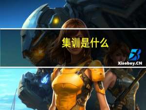集训是什么