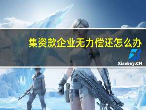 集资款企业无力偿还怎么办
