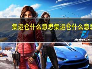 集运仓什么意思 集运仓什么意思