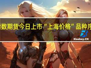 集运指数（欧线）期货今日上市 “上海价格”品种序列持续扩容