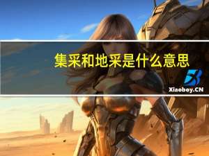 集采和地采是什么意思