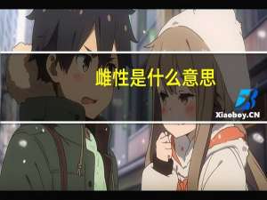 雌性是什么意思