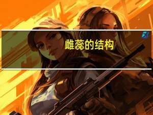 雌蕊的结构