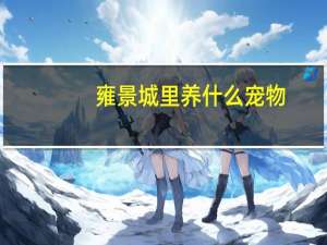 雍景城里养什么宠物