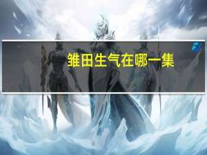 雏田生气在哪一集