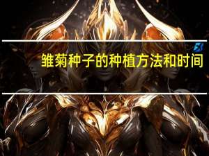 雏菊种子的种植方法和时间