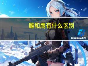 雕和鹰有什么区别