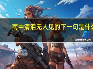 雨中清泪无人见的下一句是什么