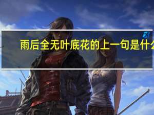 雨后全无叶底花的上一句是什么