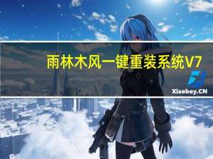 雨林木风一键重装系统 V7.2.11.7 绿色版（雨林木风一键重装系统 V7.2.11.7 绿色版功能简介）