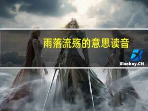 雨落流殇的意思读音（雨落之殇简介）