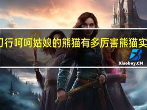 雪中悍刀行呵呵姑娘的熊猫有多厉害 熊猫实力武力值高吗　