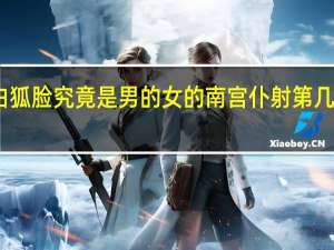 雪中悍刀行白狐脸究竟是男的女的 南宫仆射第几章承认自己是女的　