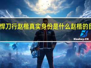 雪中悍刀行赵楷真实身份是什么 赵楷的目的是什么　