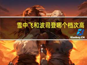 雪中飞和波司登哪个档次高
