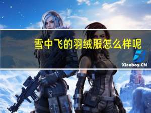 雪中飞的羽绒服怎么样呢