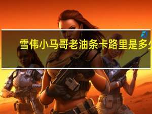 雪伟 小马哥老油条卡路里是多少
