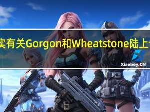雪佛龙澳大利亚公司发言人证实有关Gorgon和Wheatstone陆上设施的拟议交易没有得到员工的支持