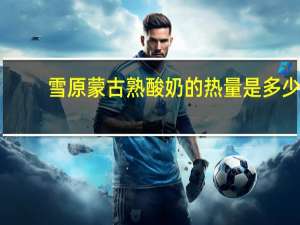 雪原 蒙古熟酸奶的热量是多少