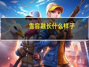 雪容融长什么样子