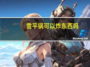 雪平锅可以炸东西吗