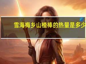 雪海梅乡 山楂棒的热量是多少