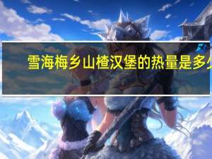 雪海梅乡 山楂汉堡的热量是多少