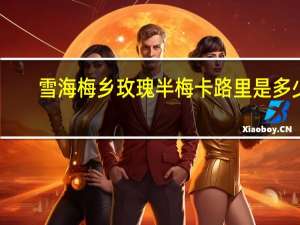 雪海梅乡 玫瑰半梅卡路里是多少