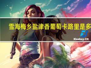 雪海梅乡 盐津香葡萄卡路里是多少