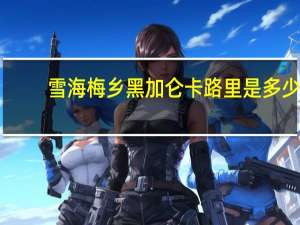 雪海梅乡 黑加仑卡路里是多少