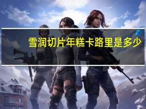 雪润 切片年糕卡路里是多少