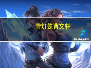 雪灯笼曹文轩（雪打灯-旧简介）