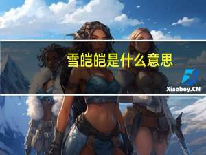 雪皑皑是什么意思