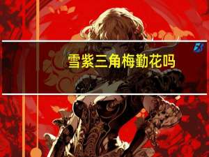 雪紫三角梅勤花吗
