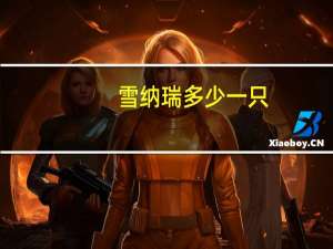 雪纳瑞多少一只