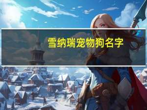 雪纳瑞宠物狗名字